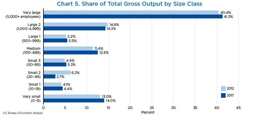 Chart 5. Share of Total Gross Output by Size Class